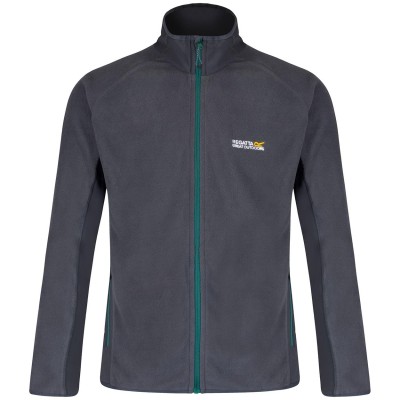 Regatta Ashton Erkek Polar-GRİ Regatta Ashton Erkek Polar-GRİ