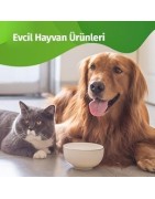 Petshop
